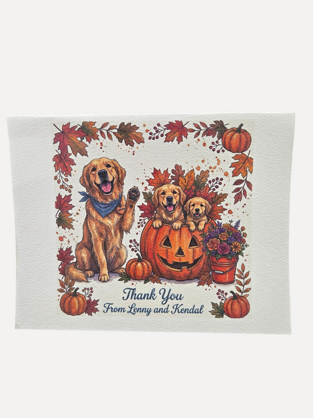 Custom  4 1/4 x 5 1/12 Note Card Set with Envelopes