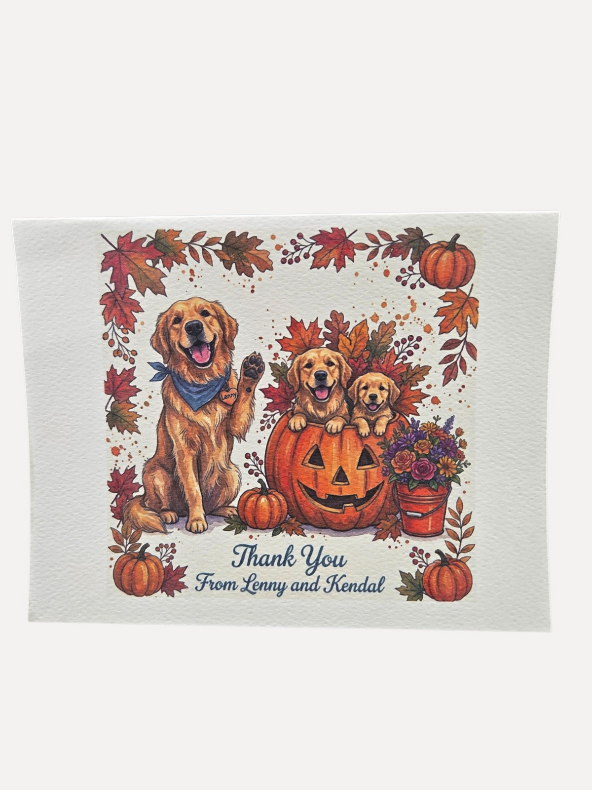Custom  4 1/4 x 5 1/12 Note Card Set with Envelopes