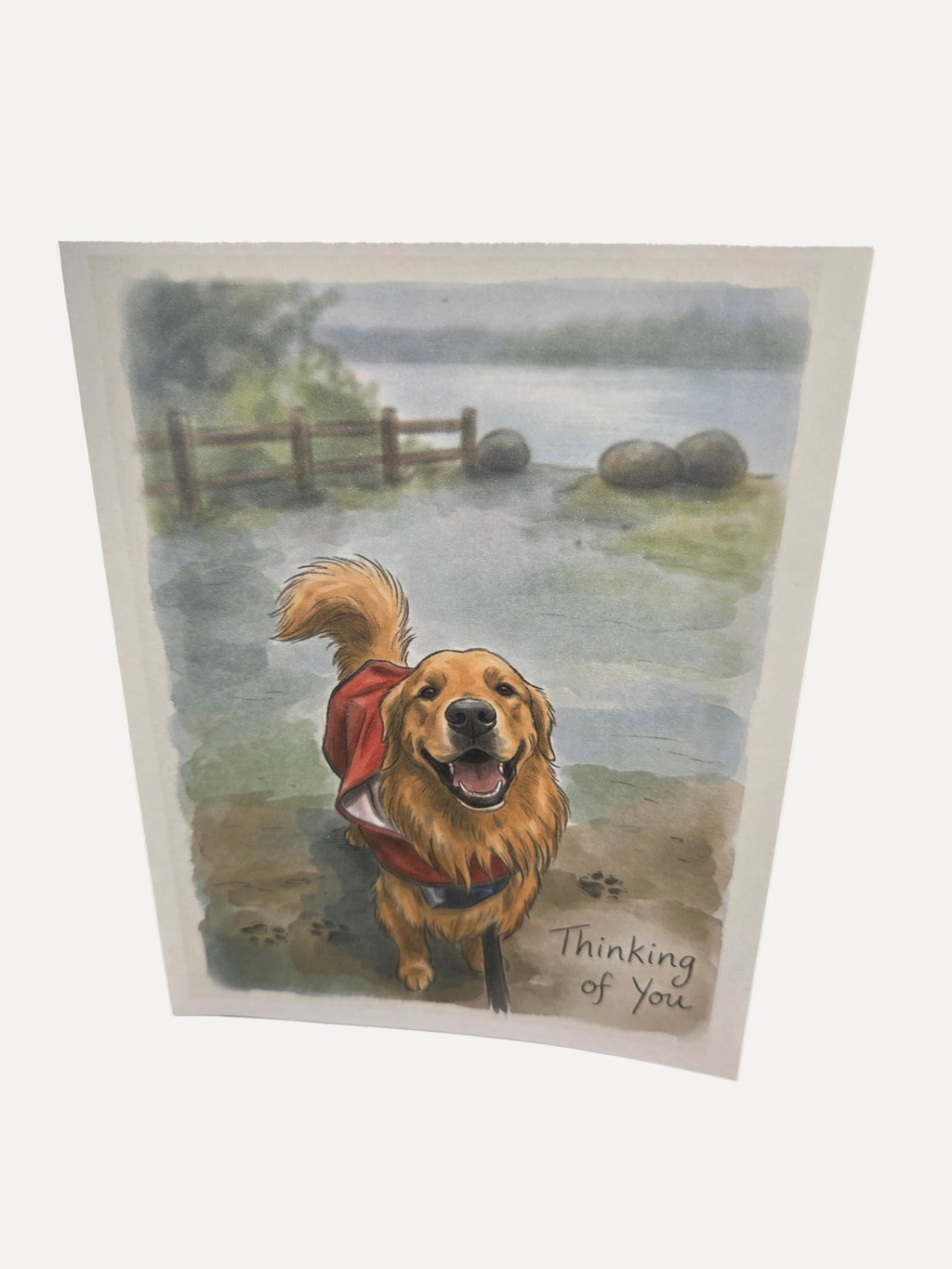 Custom  4 1/4 x 5 1/12 Note Card Set with Envelopes