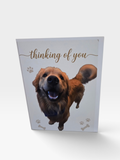Custom  4 1/4 x 5 1/12 Note Card Set with Envelopes